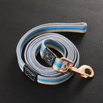 Thick Pet Dog Leash Rope