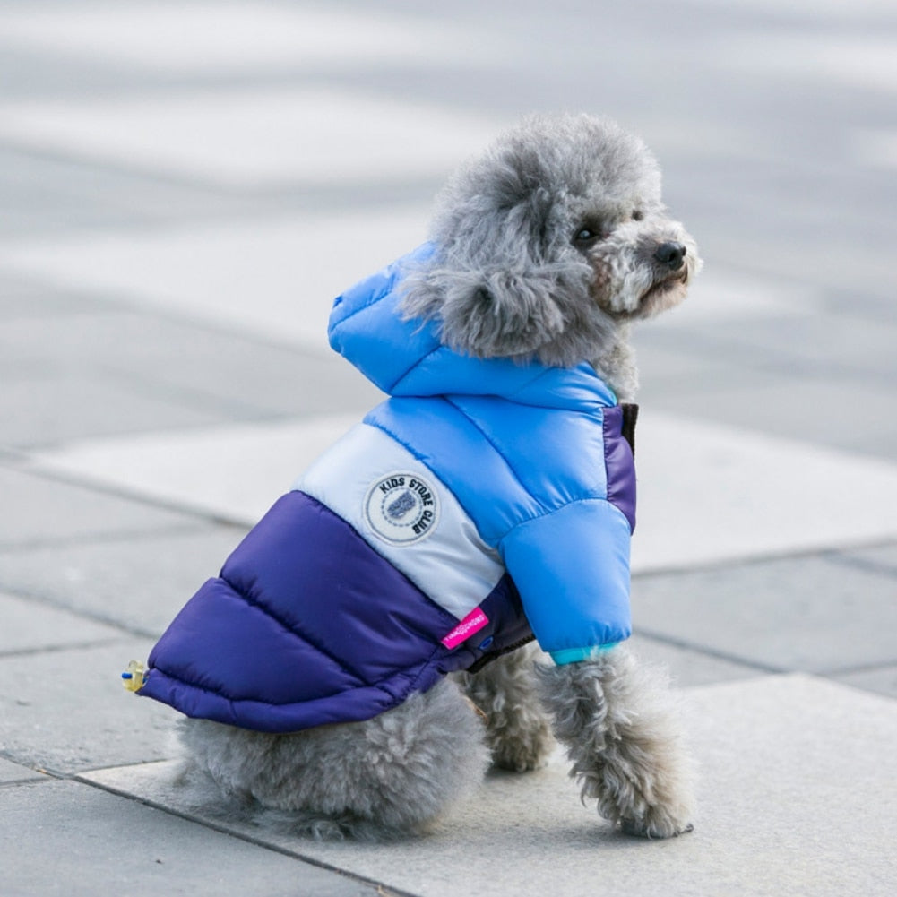 Winter Dog Hoodie