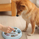 Pet Slow Feeder