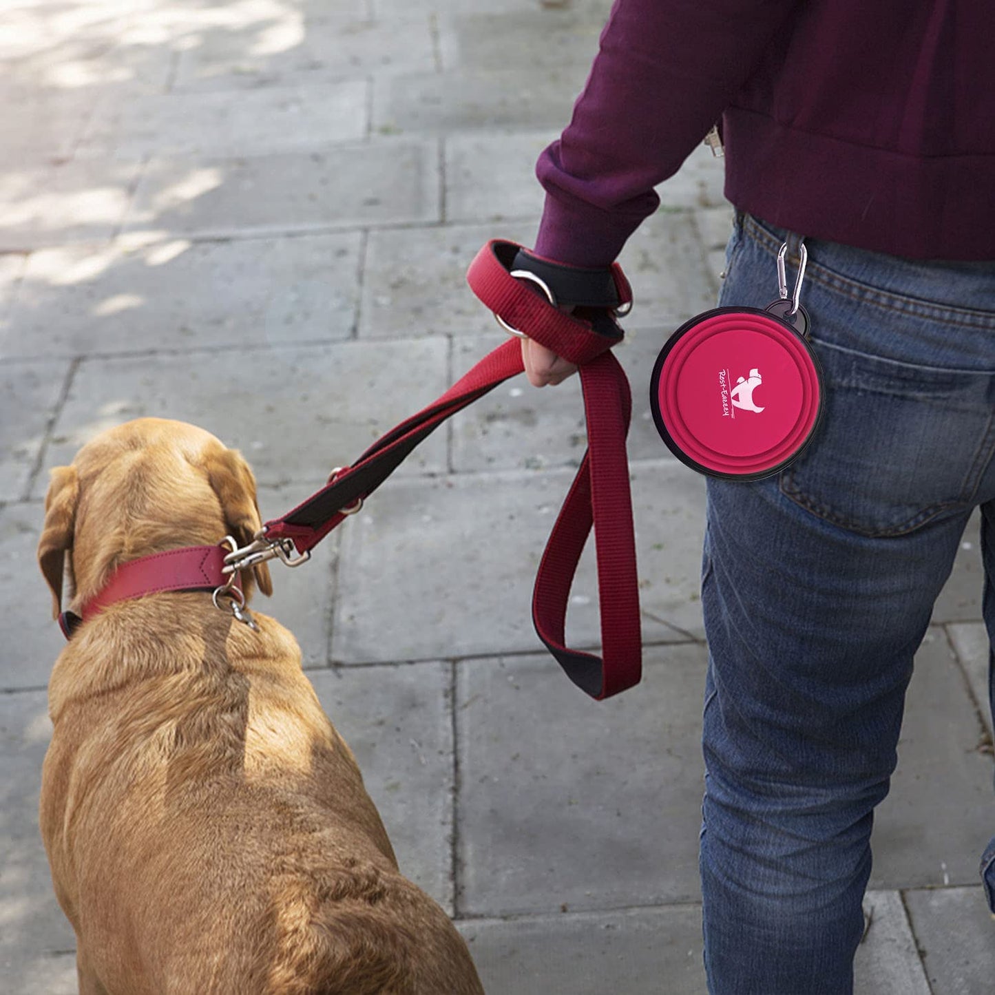 Collapsible Dog Bowls for Travel, 2-Pack Dog Portable Water Bowl for Dogs Cats Pet Foldable Feeding Watering Dish for Traveling Camping Walking with 2 Carabiners, BPA Free