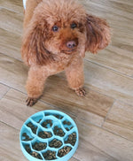 8 Inch Slow Feeder Pet Bowl